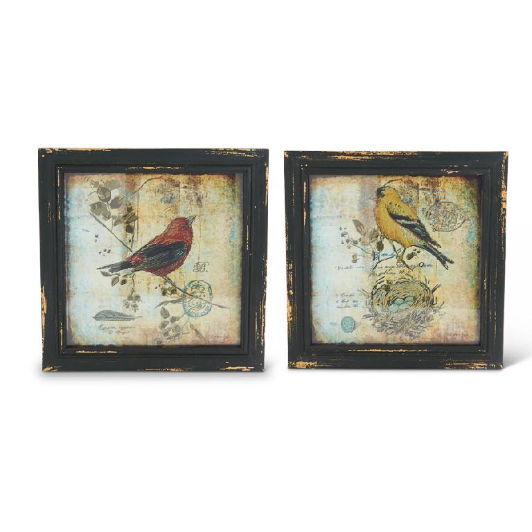 Square Framed Bird Print