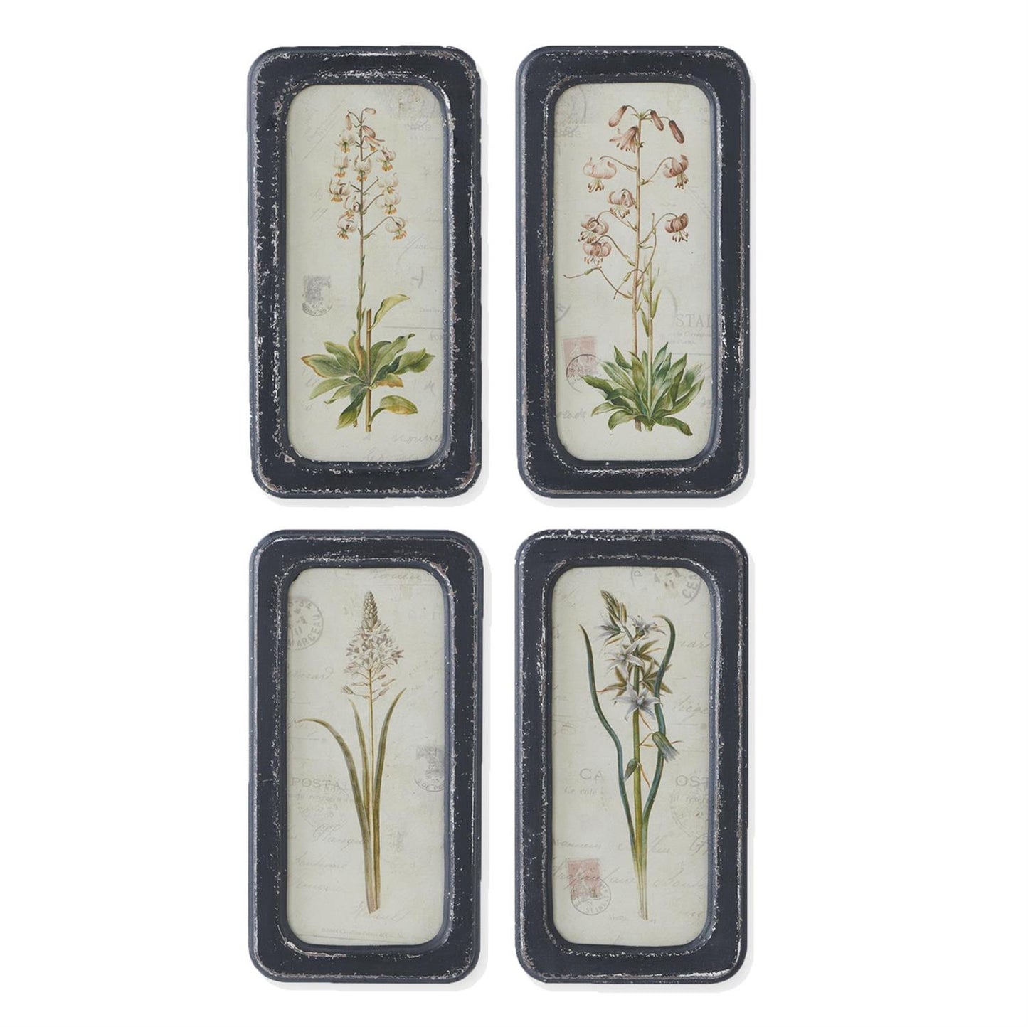 Black Framed Botanical Prints