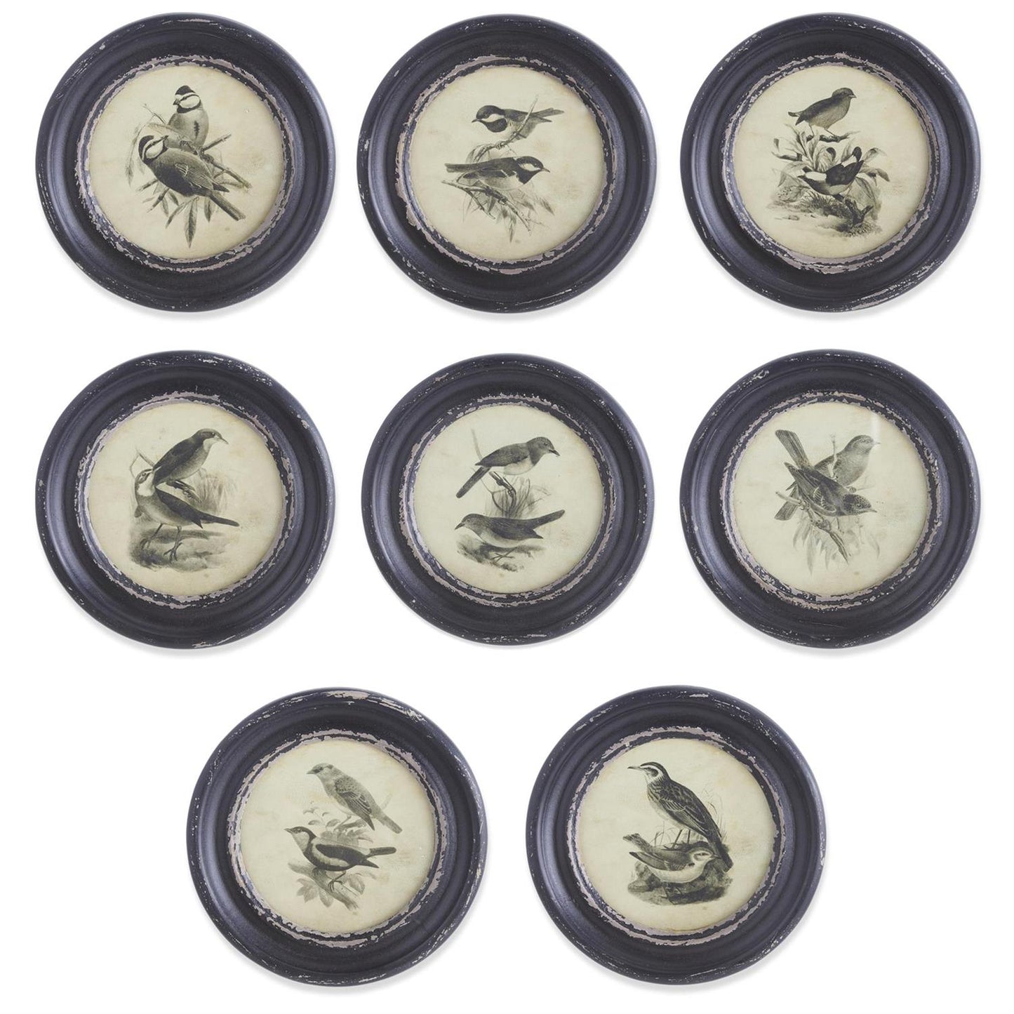Round Black Framed Bird Print