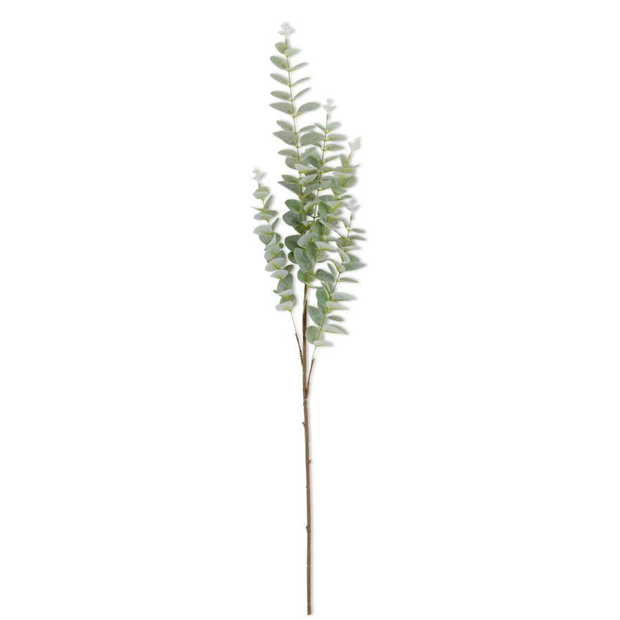 Light Green Gunnii Eucalyptus Stem 38 Inch