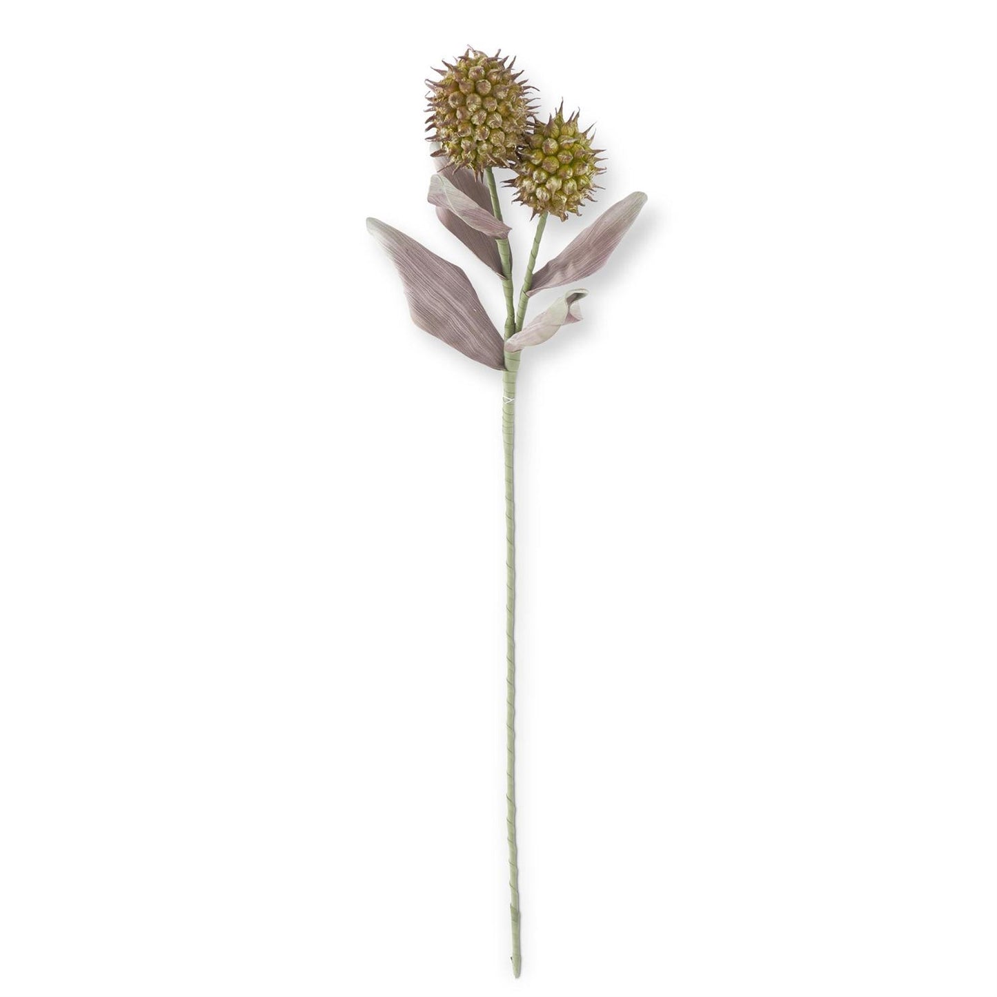 Green & Burgundy Eva Double Spike Pod Stem 38 Inch