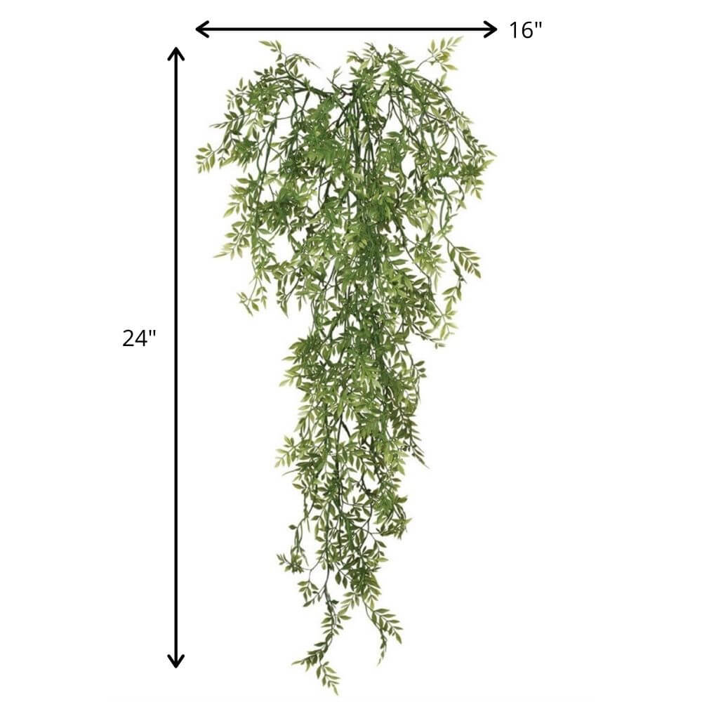 WISTERIA MINI VINE