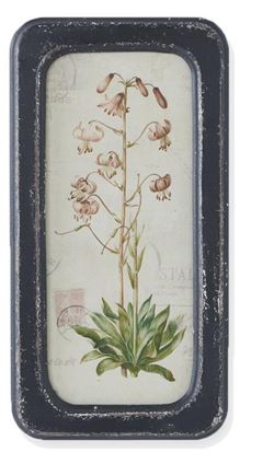 Black Framed Botanical Prints