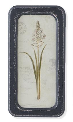 Black Framed Botanical Prints