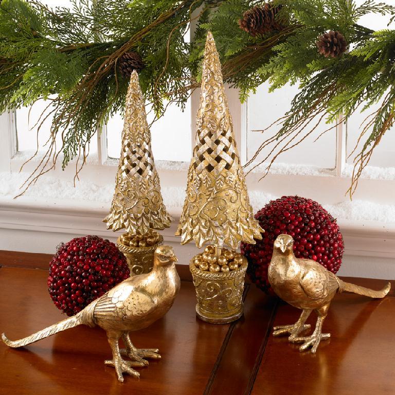Gold Pheasant