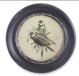 Round Black Framed Bird Print