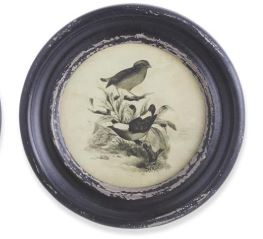 Round Black Framed Bird Print