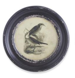 Round Black Framed Bird Print