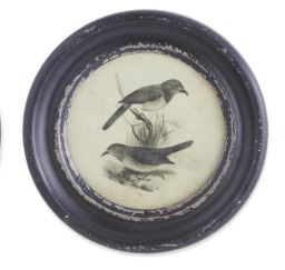 Round Black Framed Bird Print