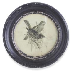 Round Black Framed Bird Print