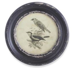 Round Black Framed Bird Print