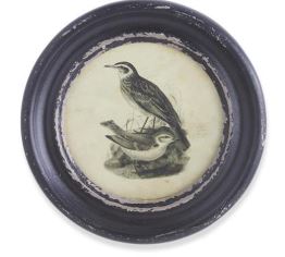 Round Black Framed Bird Print