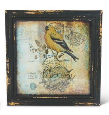 Square Framed Bird Print