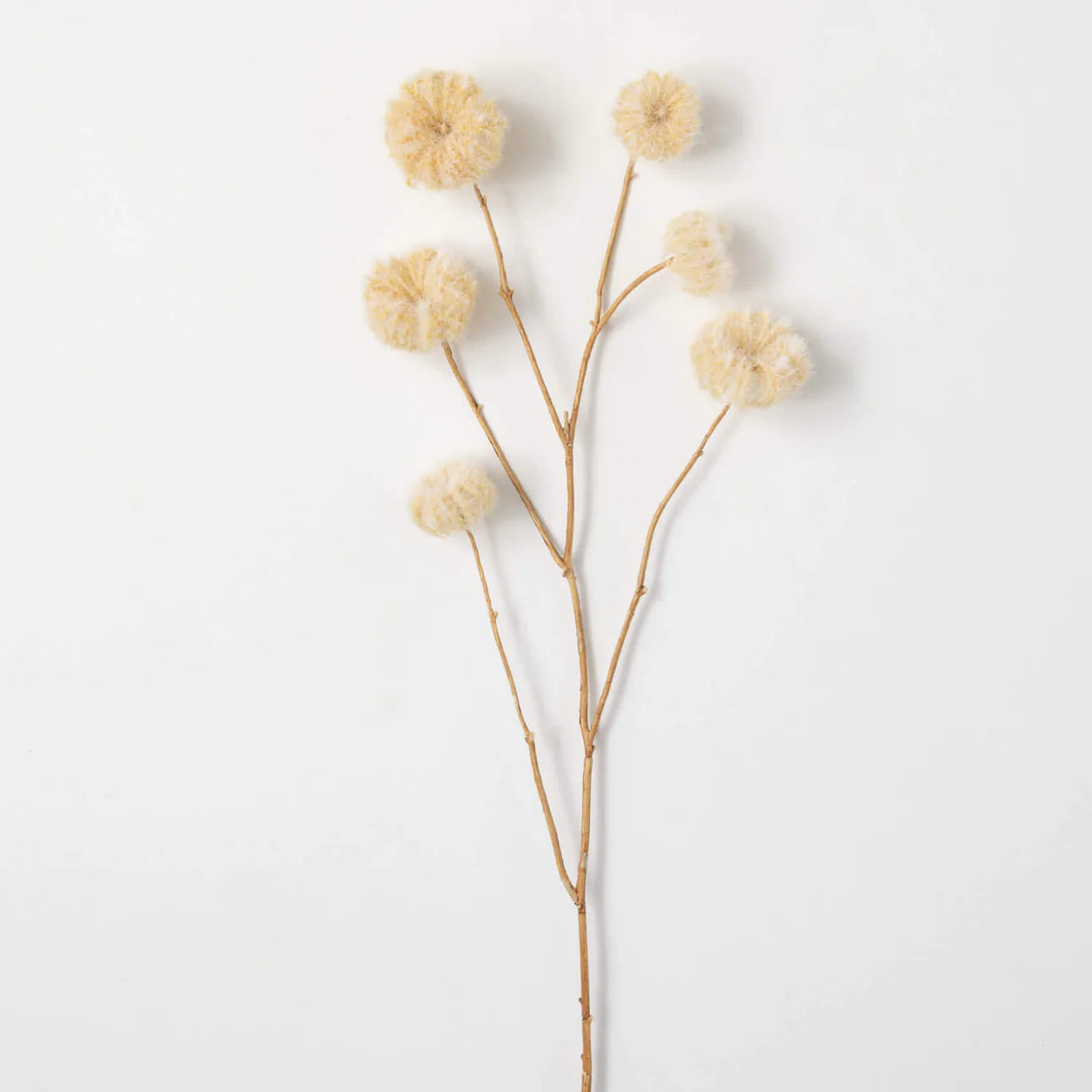 Dried Pod Spray