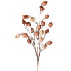 Fall Chinese Lantern Stem