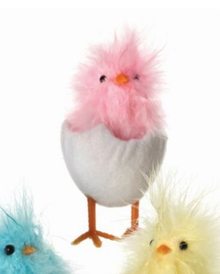 Feather Chick in Wool Egg