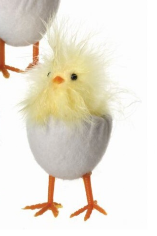 Feather Chick in Wool Egg