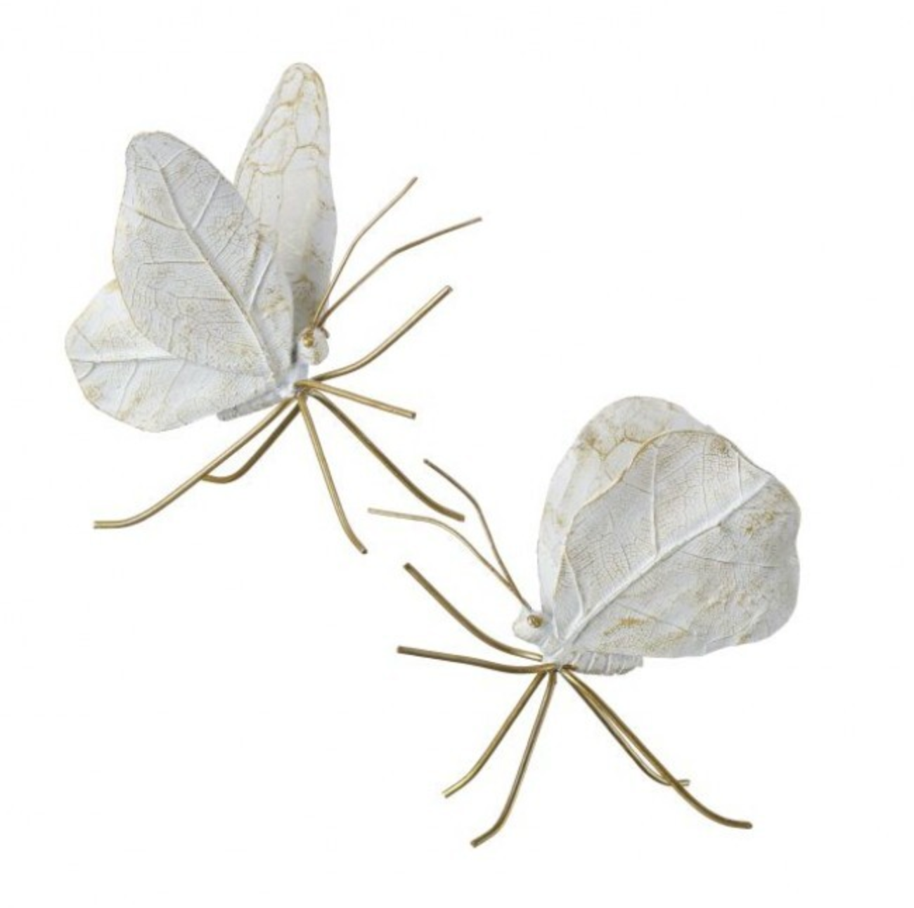 Ivory and Gold Butterfly