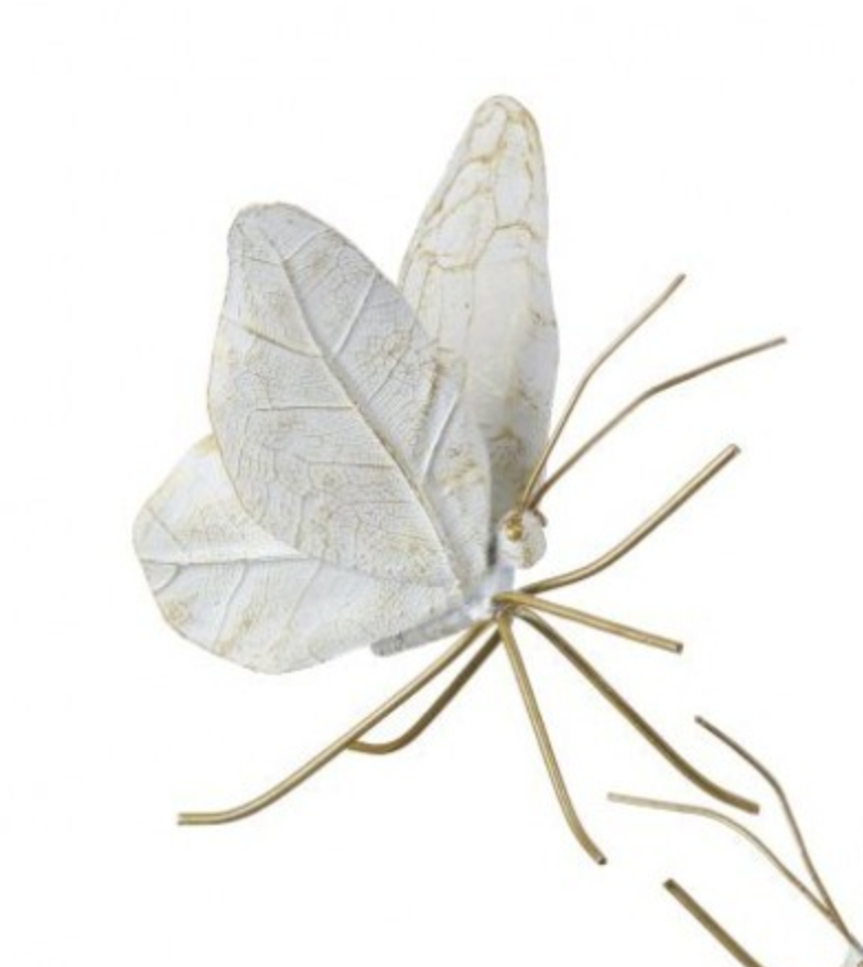 Ivory and Gold Butterfly