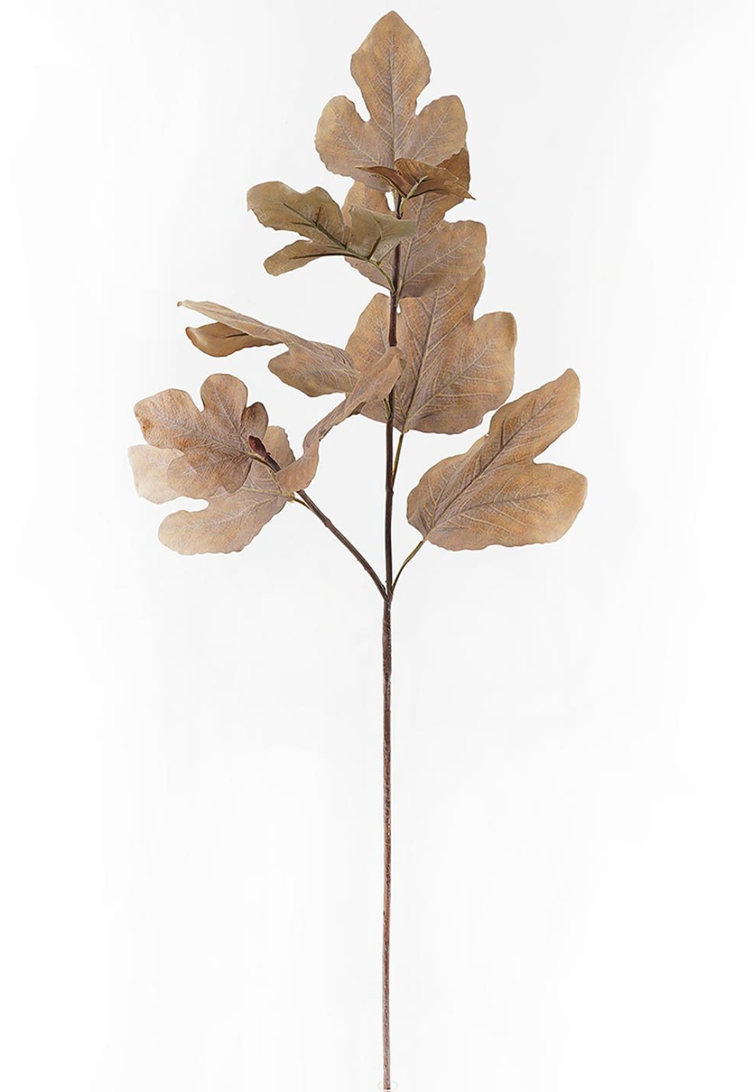 Autumn Fig Gold