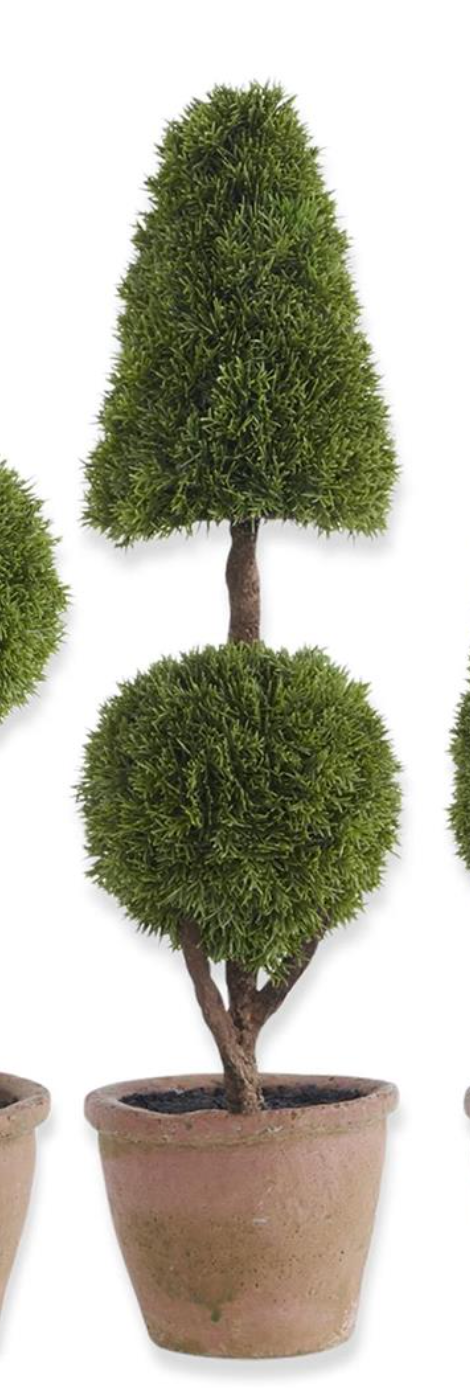 Cypress Topiary Tree