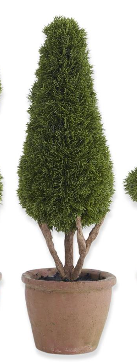 Cypress Topiary Tree