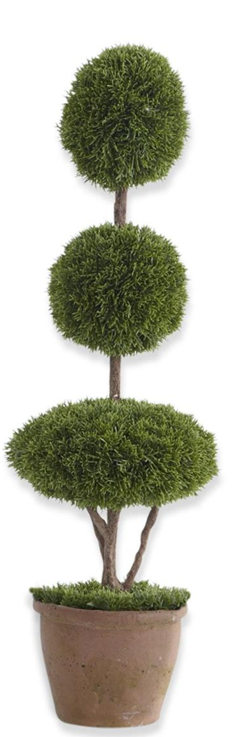 Cypress Topiary Tree