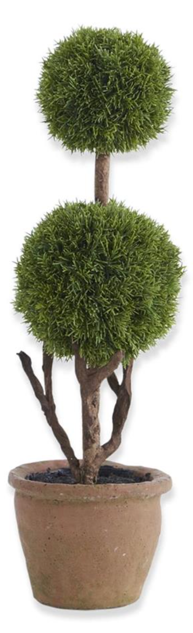 Cypress Topiary Tree