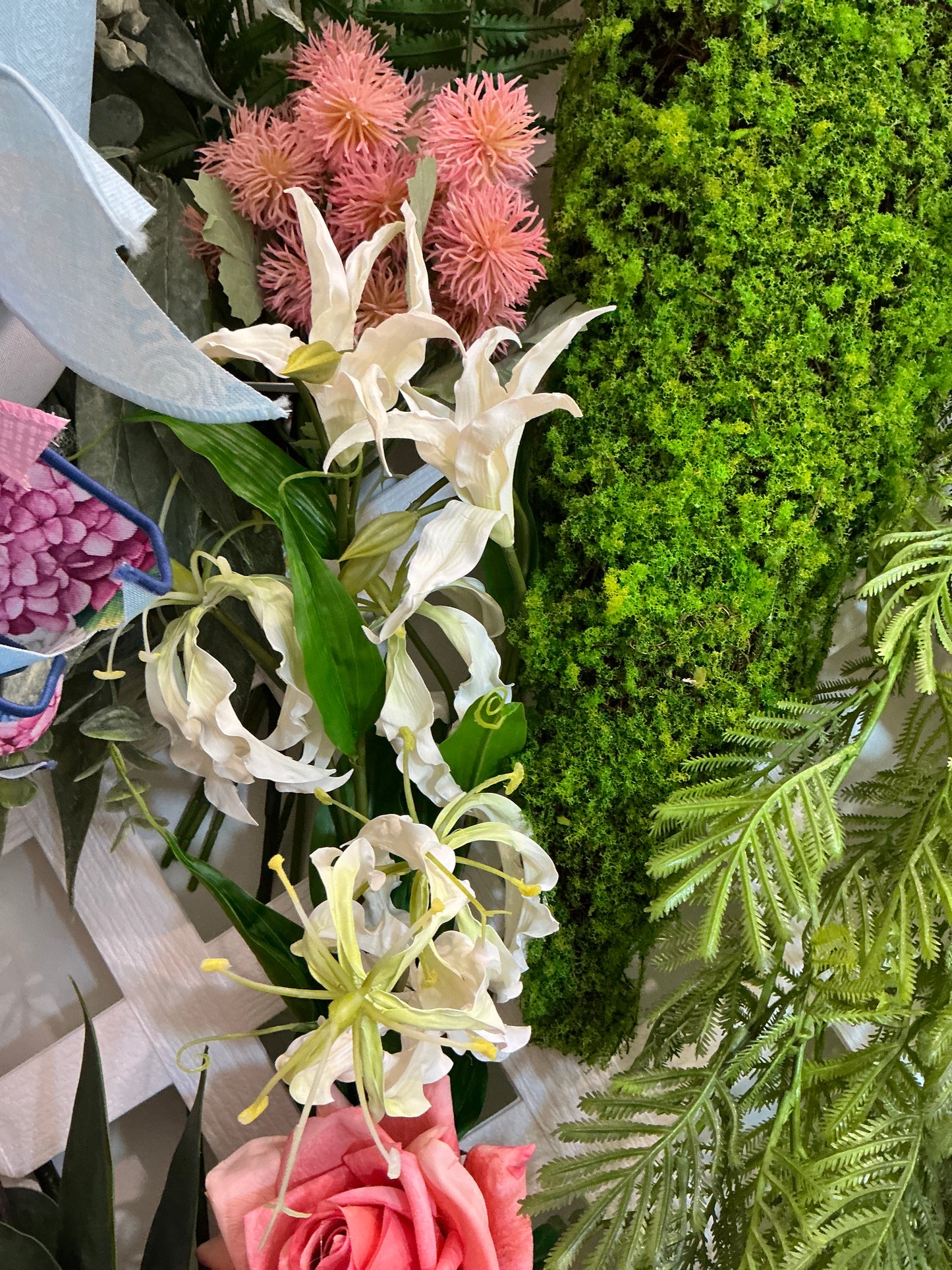 GLORIOSA LILY