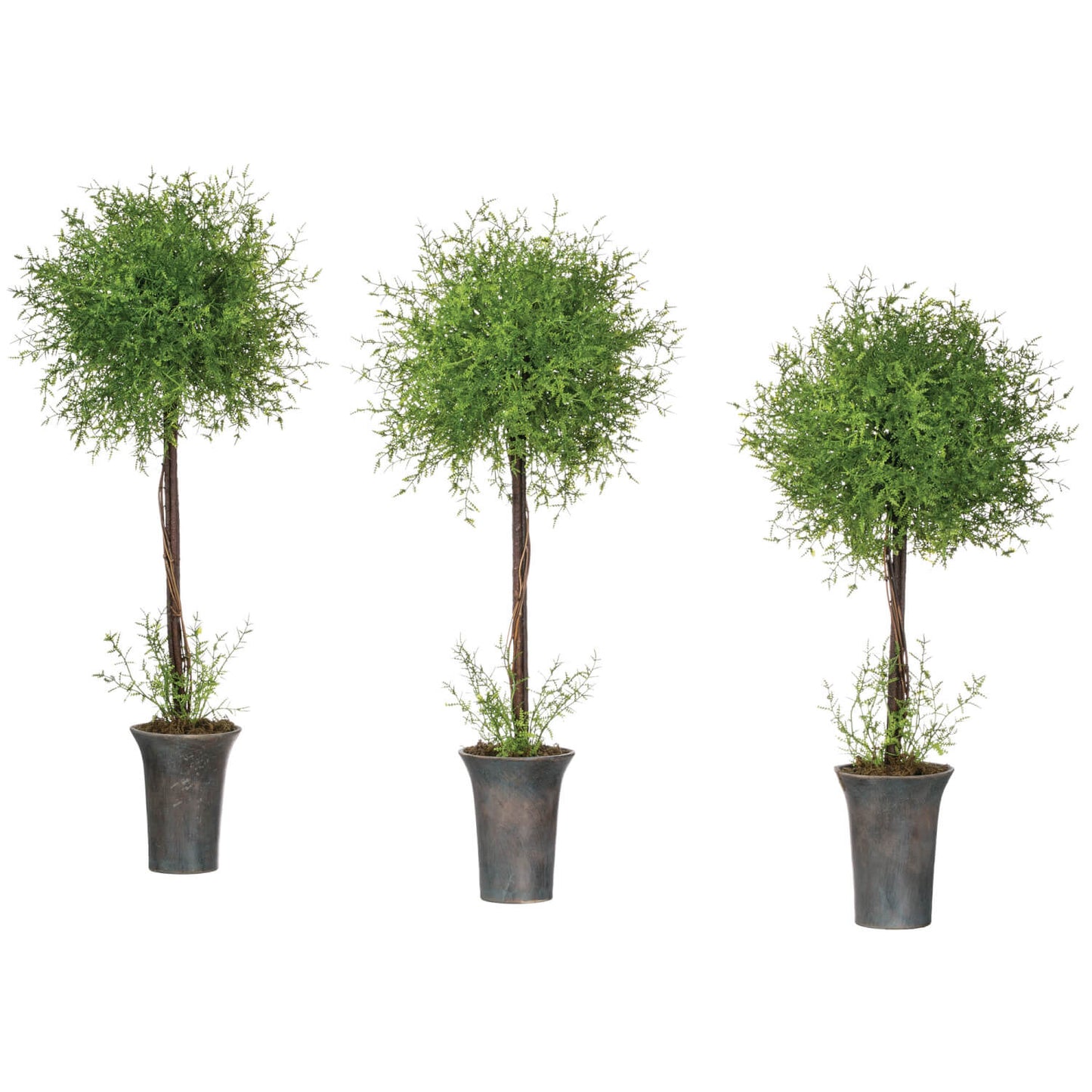 Feather Fern Topiary Tree