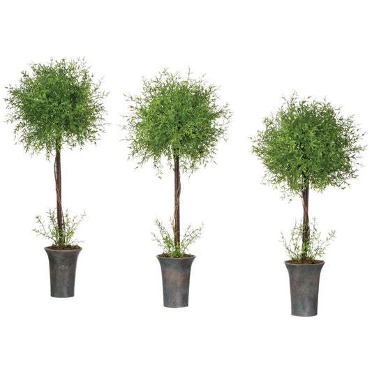 Feather Fern Topiary Tree