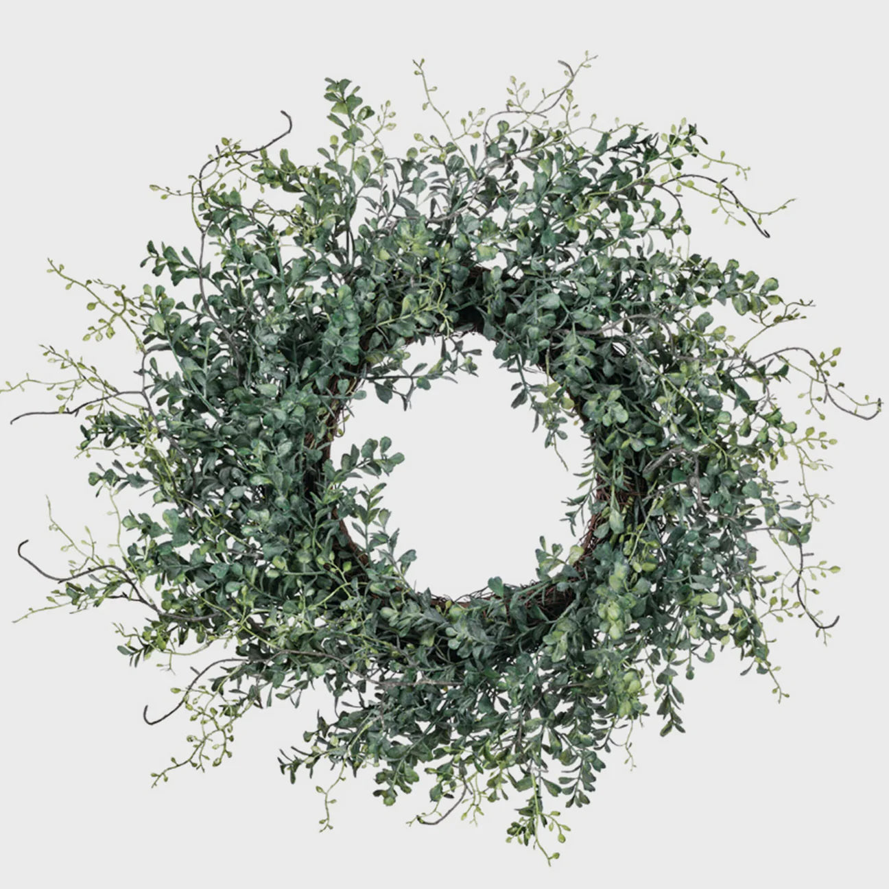 BLUE BOXWOOD