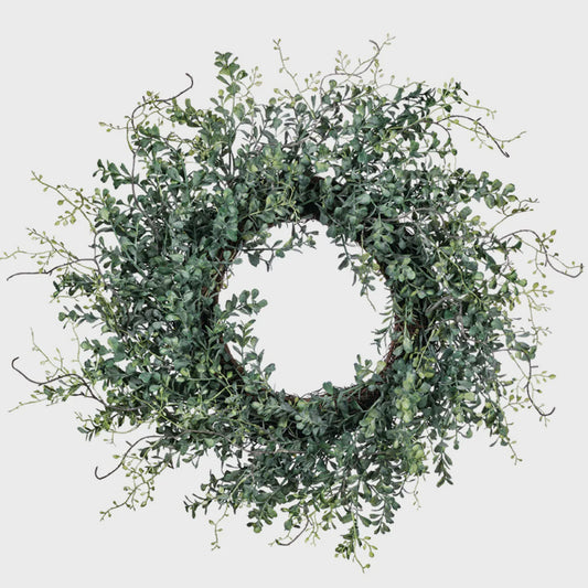 BLUE BOXWOOD