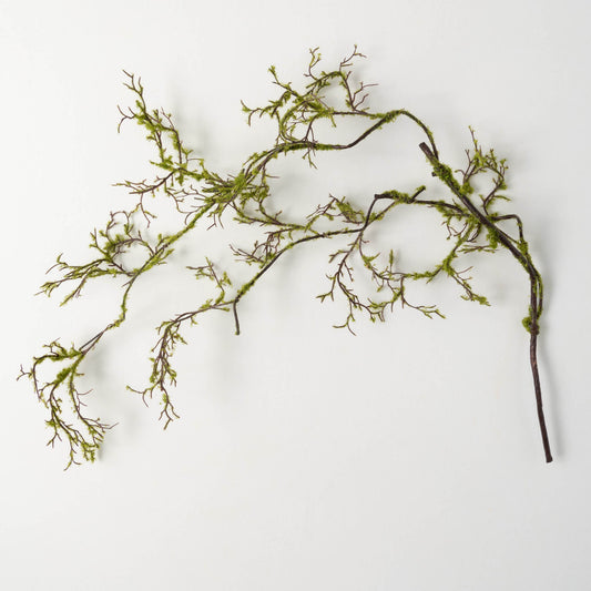 Mossy Drop Branch GR BR
