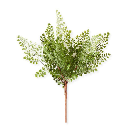 Maidenhair Fern Spray Stem - 16 Inch