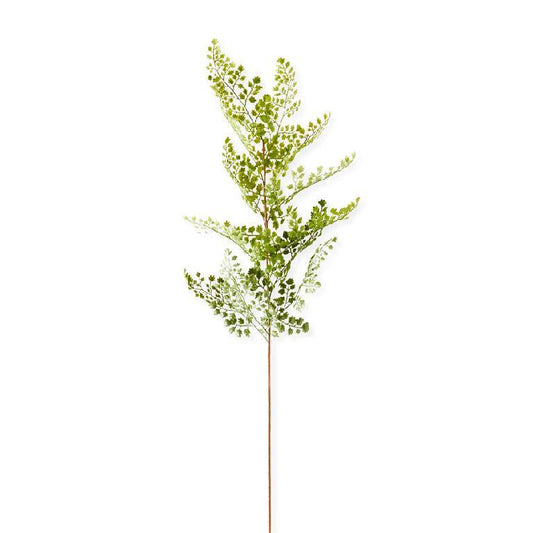Maidenhair Fern Spray Stem - 16 Inch