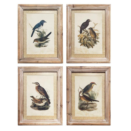 Wood Framed Bird Print