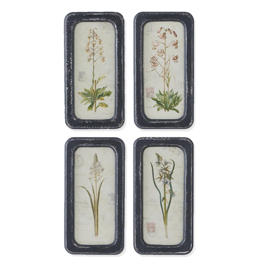 Black Framed Botanical Prints