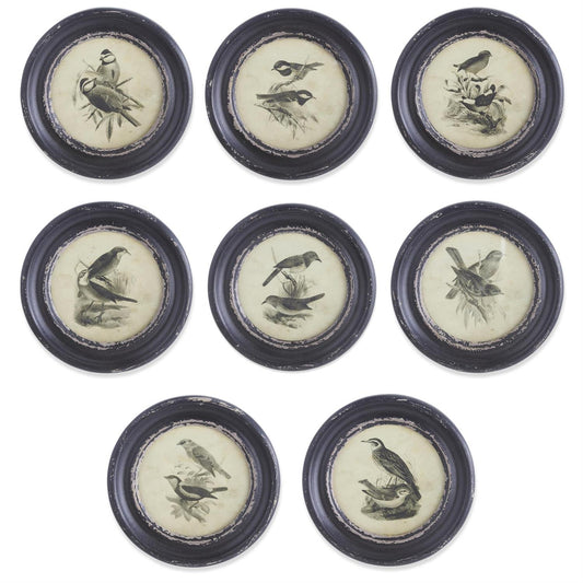 Round Black Framed Bird Print