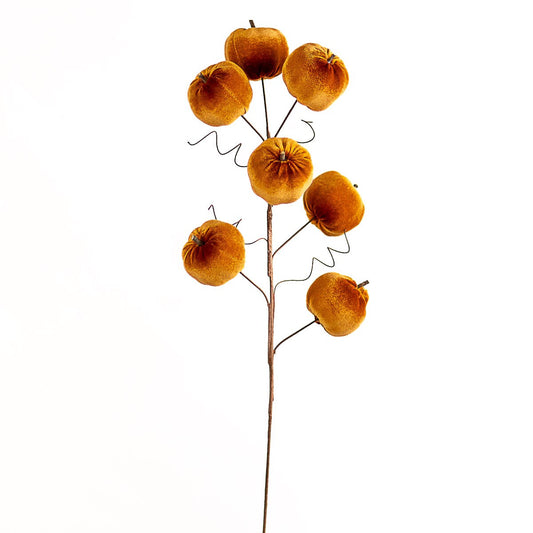 Orange Pumpkin Stem