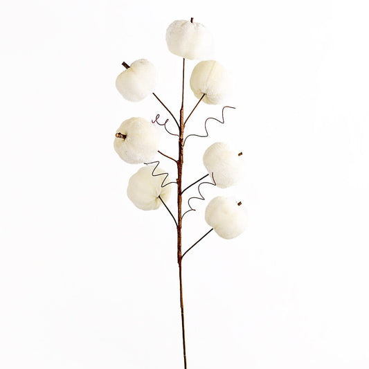 Cream Pumpkin Stem