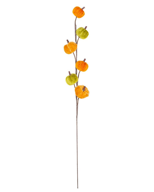 Green and Orange Pumpkin Stem