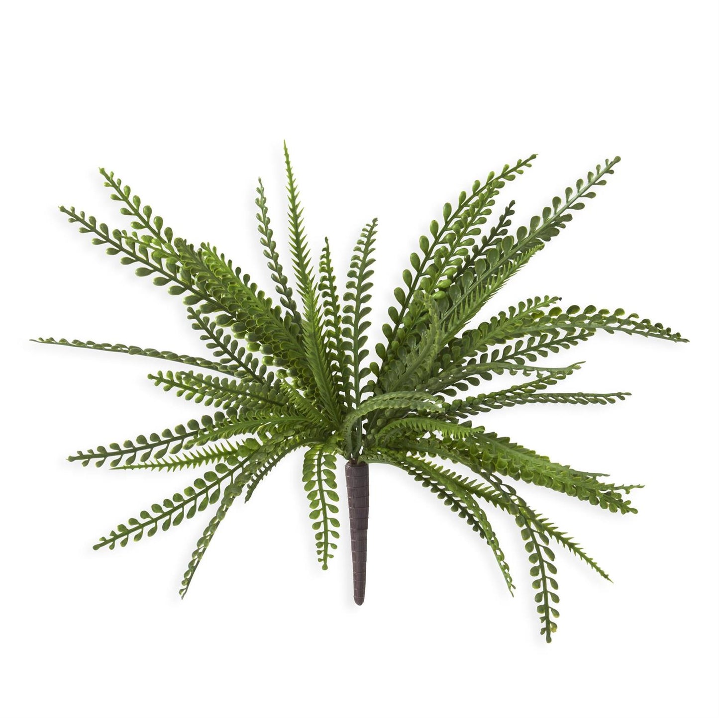 Dark Green Foliage Bush