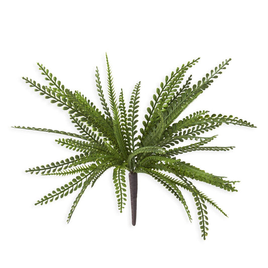 Dark Green Foliage Bush