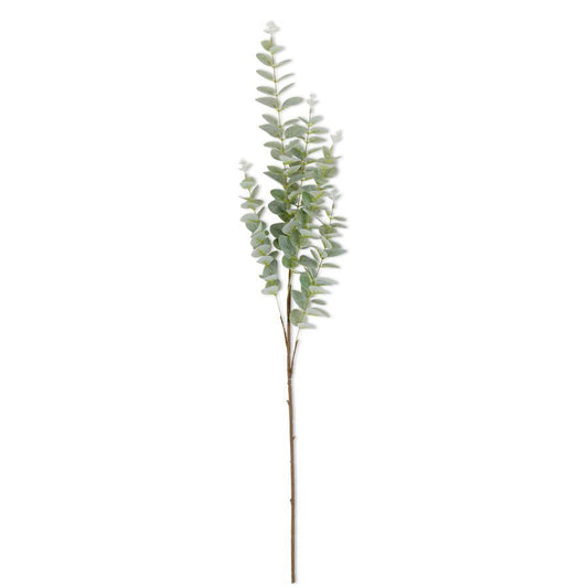 Light Green Gunnii Eucalyptus Stem 38 Inch