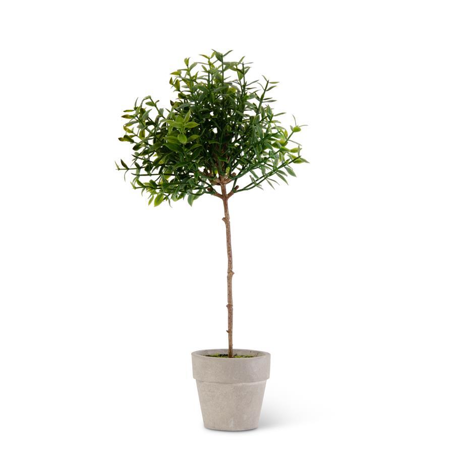 Mini Potted Tea Leaf Topiary