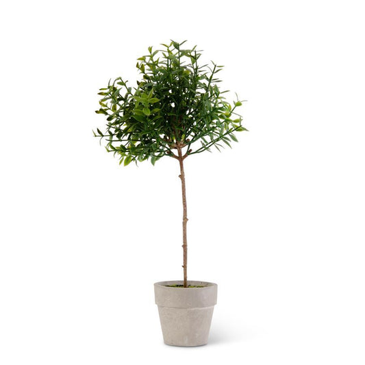 Mini Potted Tea Leaf Topiary