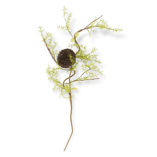 Twig Bird Nest Stem