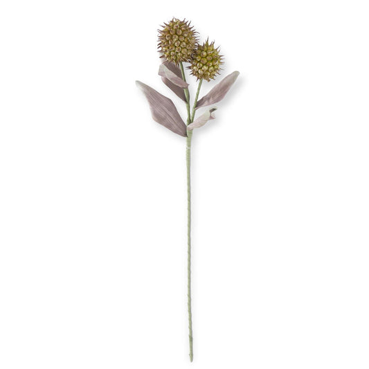 Green & Burgundy Eva Double Spike Pod Stem 38 Inch