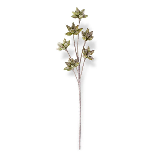Green & Burgundy Eva 6 Pod Stem 35 Inch